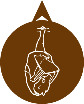 竹富島の宿「一日一組の宿すかぶら」